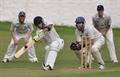 Umair goes big over mid wicket.jpg